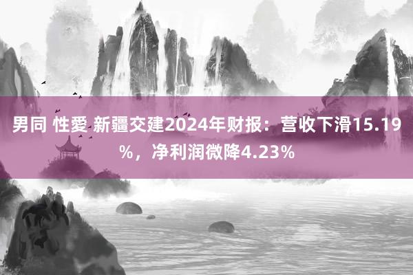 男同 性愛 新疆交建2024年财报：营收下滑15.19%，净利润微降4.23%