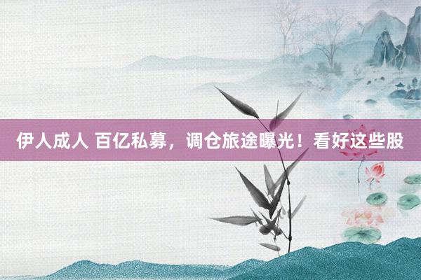 伊人成人 百亿私募，调仓旅途曝光！看好这些股