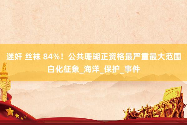 迷奸 丝袜 84%！公共珊瑚正资格最严重最大范围白化征象_海洋_保护_事件