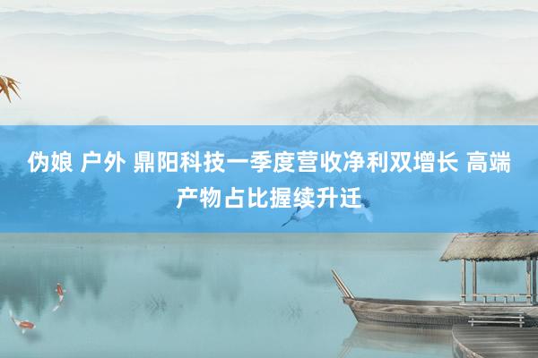 伪娘 户外 鼎阳科技一季度营收净利双增长 高端产物占比握续升迁