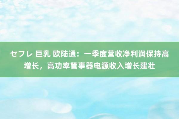 セフレ 巨乳 欧陆通：一季度营收净利润保持高增长，高功率管事器电源收入增长建壮