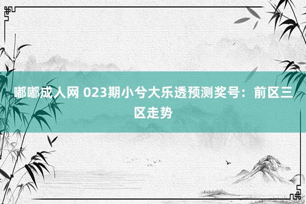 嘟嘟成人网 023期小兮大乐透预测奖号：前区三区走势