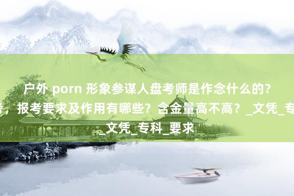 户外 porn 形象参谋人盘考师是作念什么的？如何报考，报考要求及作用有哪些？含金量高不高？_文凭_专科_要求